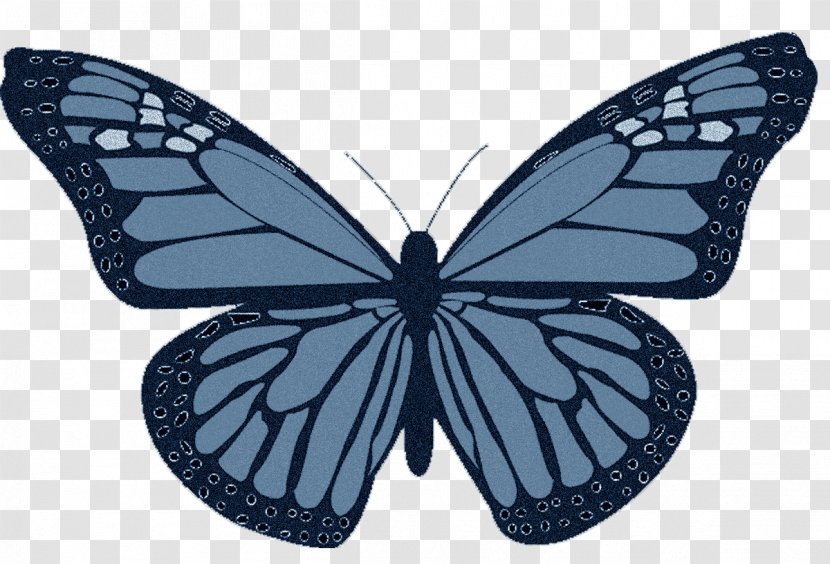 Non-Hodgkin Lymphoma T-shirt Cancer Hodgkin's - Insect - Blue Butterfly Transparent PNG