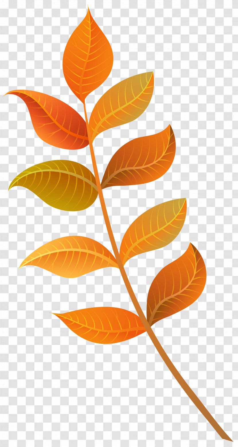 Autumn Leaf Color Clip Art - Fall Decorative Leaves Clipart Image Transparent PNG