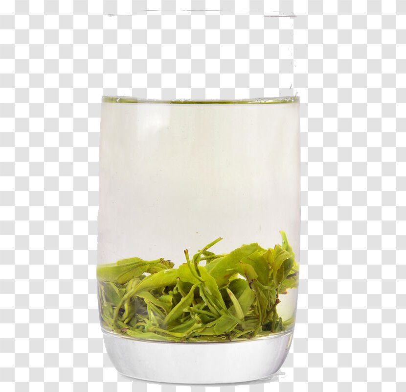 Longjing Tea Green Lapsang Souchong Ginger - Grass - Cup Of Transparent PNG