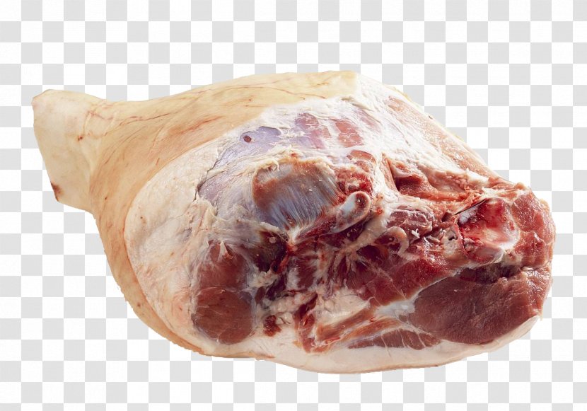 Domestic Pig Pork Meat Pigs Trotters - Tree - Fresh Transparent PNG