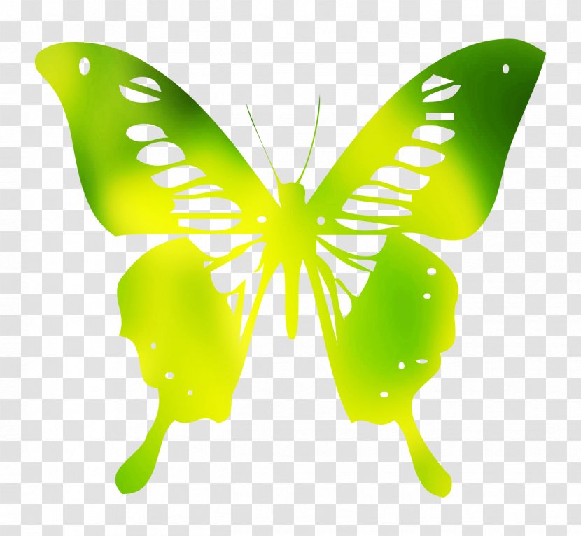 Brush-footed Butterflies Butterfly Graphics Animal Wall Decal - Green Transparent PNG
