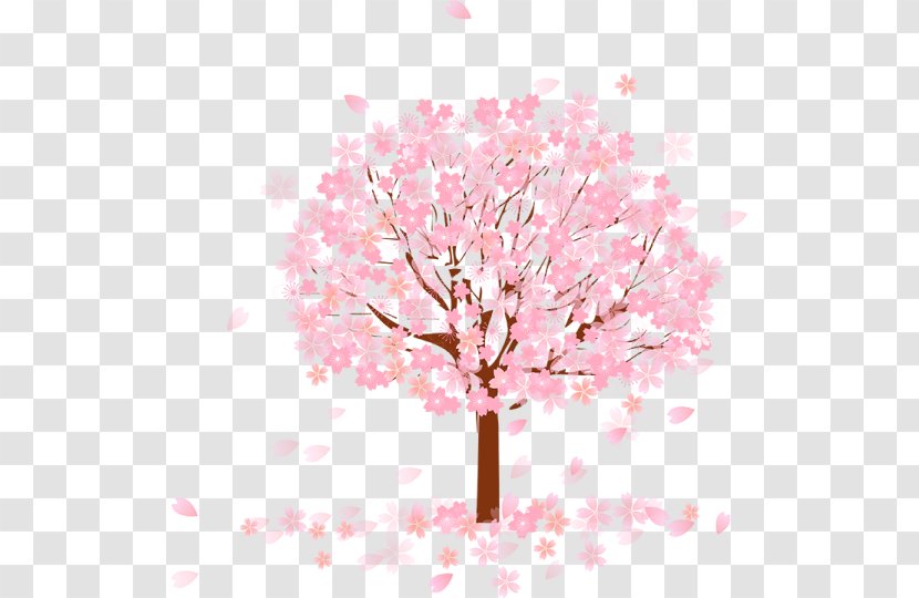 Tree Cherry Blossom - Branch - Pink Transparent PNG