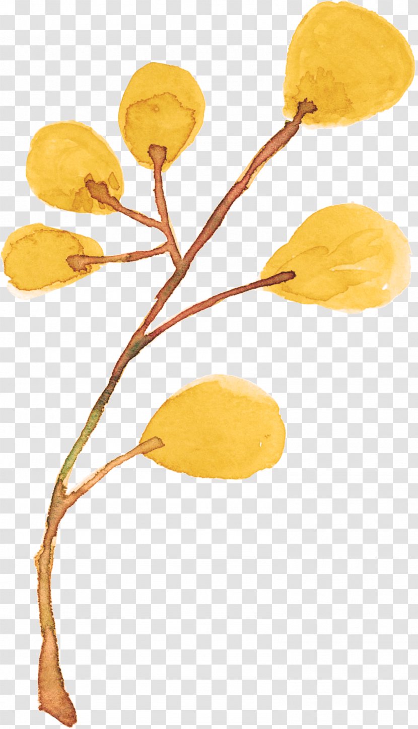 Painting Plant Drawing - Painted Plants Transparent PNG
