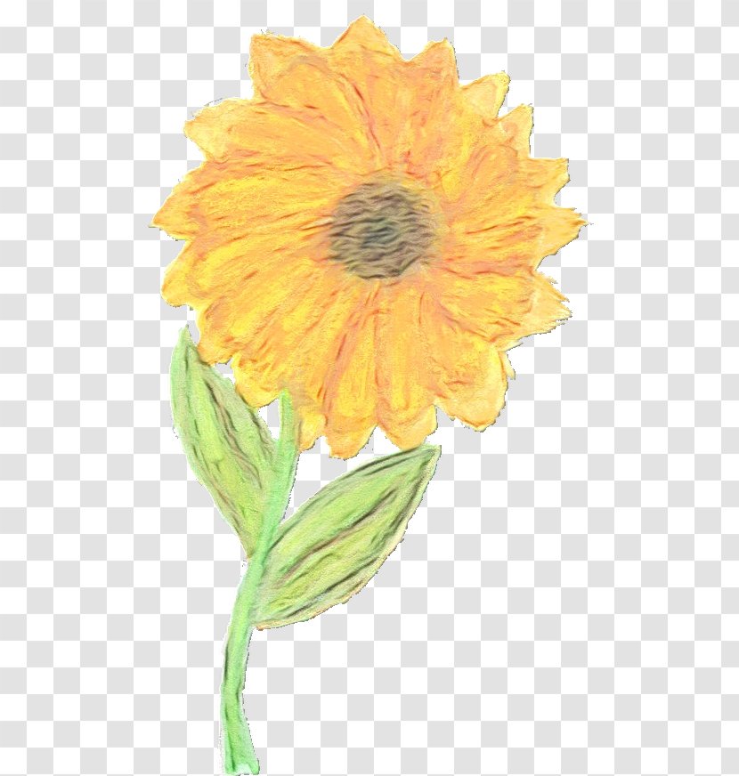 Sunflower - Flower - Petal Cut Flowers Transparent PNG
