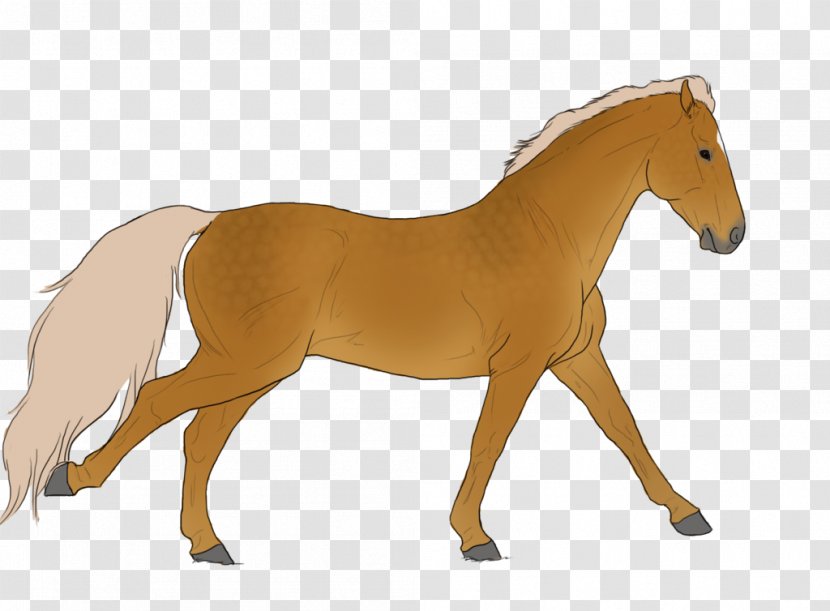 Mustang Stallion Foal Mare Colt - Pony Transparent PNG