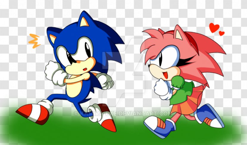 Amy Rose Shadow The Hedgehog Sonic CD Tails - Flower Transparent PNG