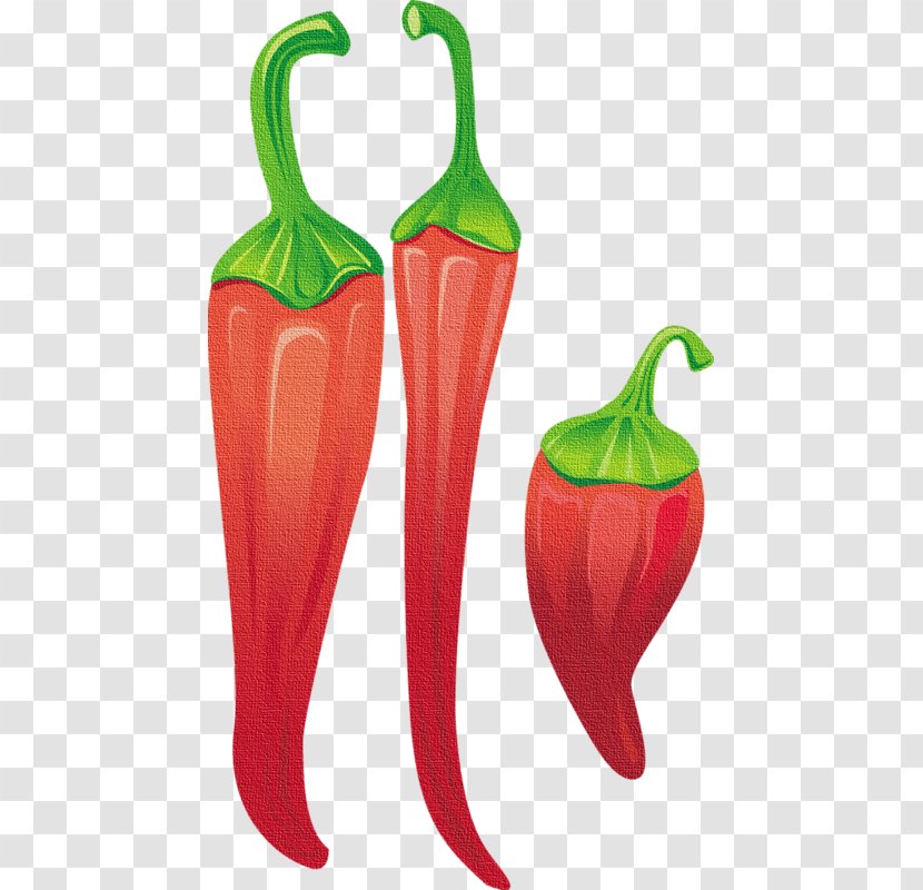 Tabasco Pepper Serrano Capsicum Annuum Var. Acuminatum Chili Paprika - Vegetable Transparent PNG
