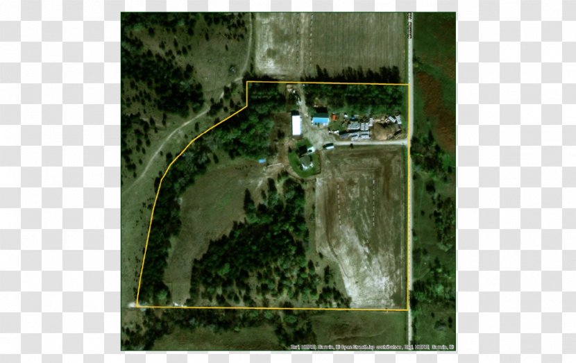 Land Lot Real Property - Grass - Landed Estate Transparent PNG