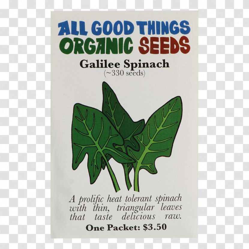 Seed Cucurbita Pepo Watermelon Lacinato Kale Variety - Leaf Transparent PNG