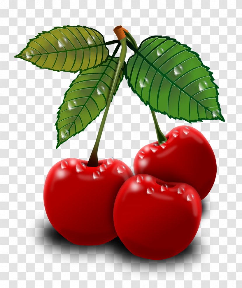 Cherry Clip Art - Superfood Transparent PNG