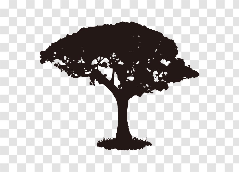 Silhouette Walnut Tree Illustration YouTube - Africa - Youtube Transparent PNG