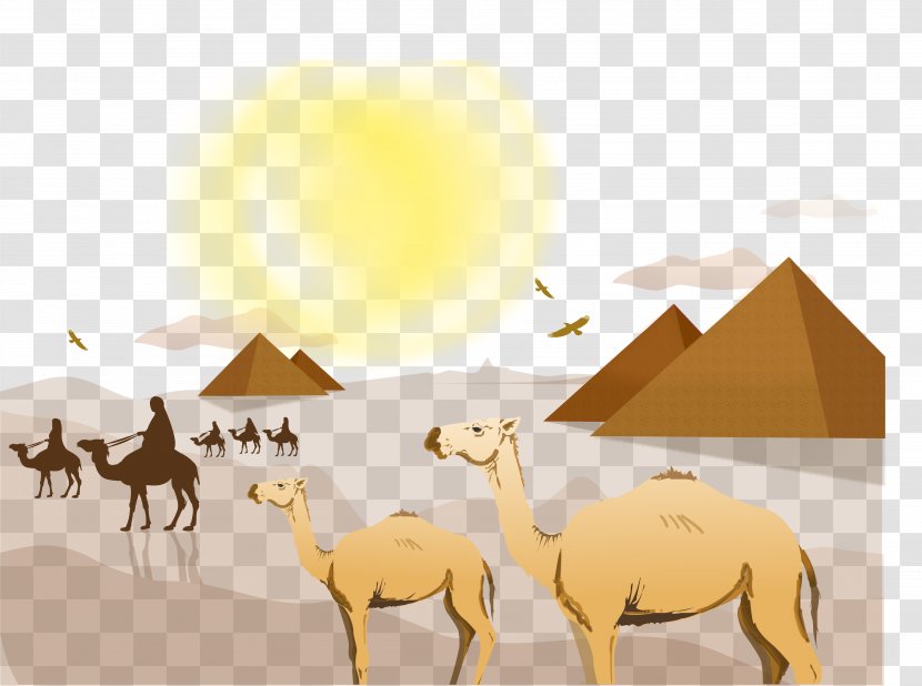 Sahara Desert Landscape Euclidean Vector - Illustration - Camel Transparent PNG