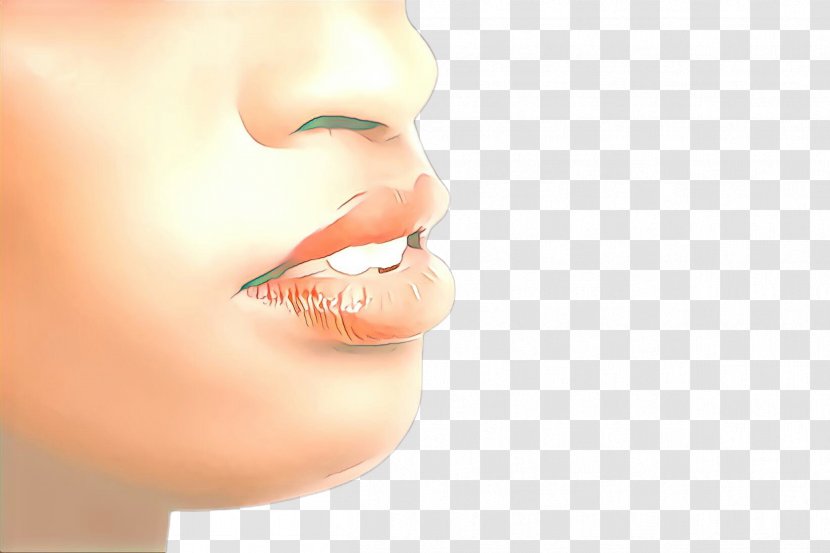 Face Nose Skin Lip Chin - Cartoon - Closeup Beauty Transparent PNG