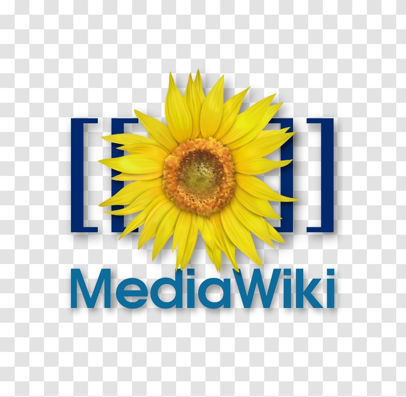 MediaWiki Wiki Software Computer - Flowering Plant - World Wide Web Transparent PNG