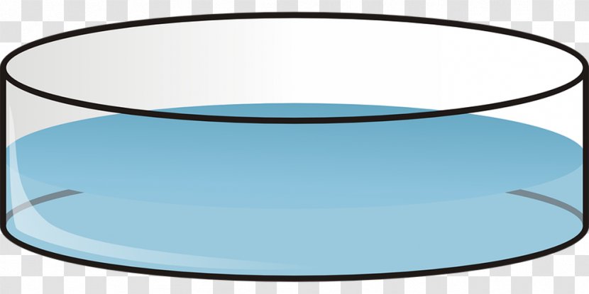 Kapaa, Hawaii Readyman Services Petri Dish Clip Art - Kapaa - Cylindrical Glass Texture Water Drops Transparent PNG