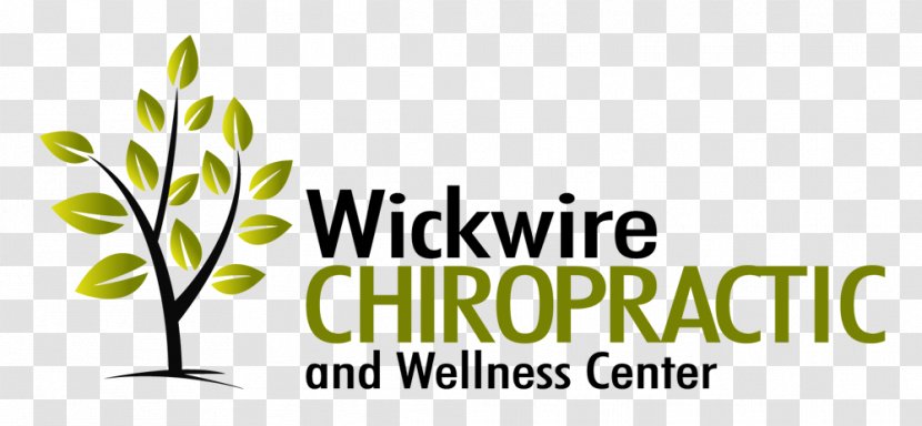 Wickwire Chiropractic And Wellness Center Chiropractor Revive Family Cedar Rapids - Tree - Plant Transparent PNG