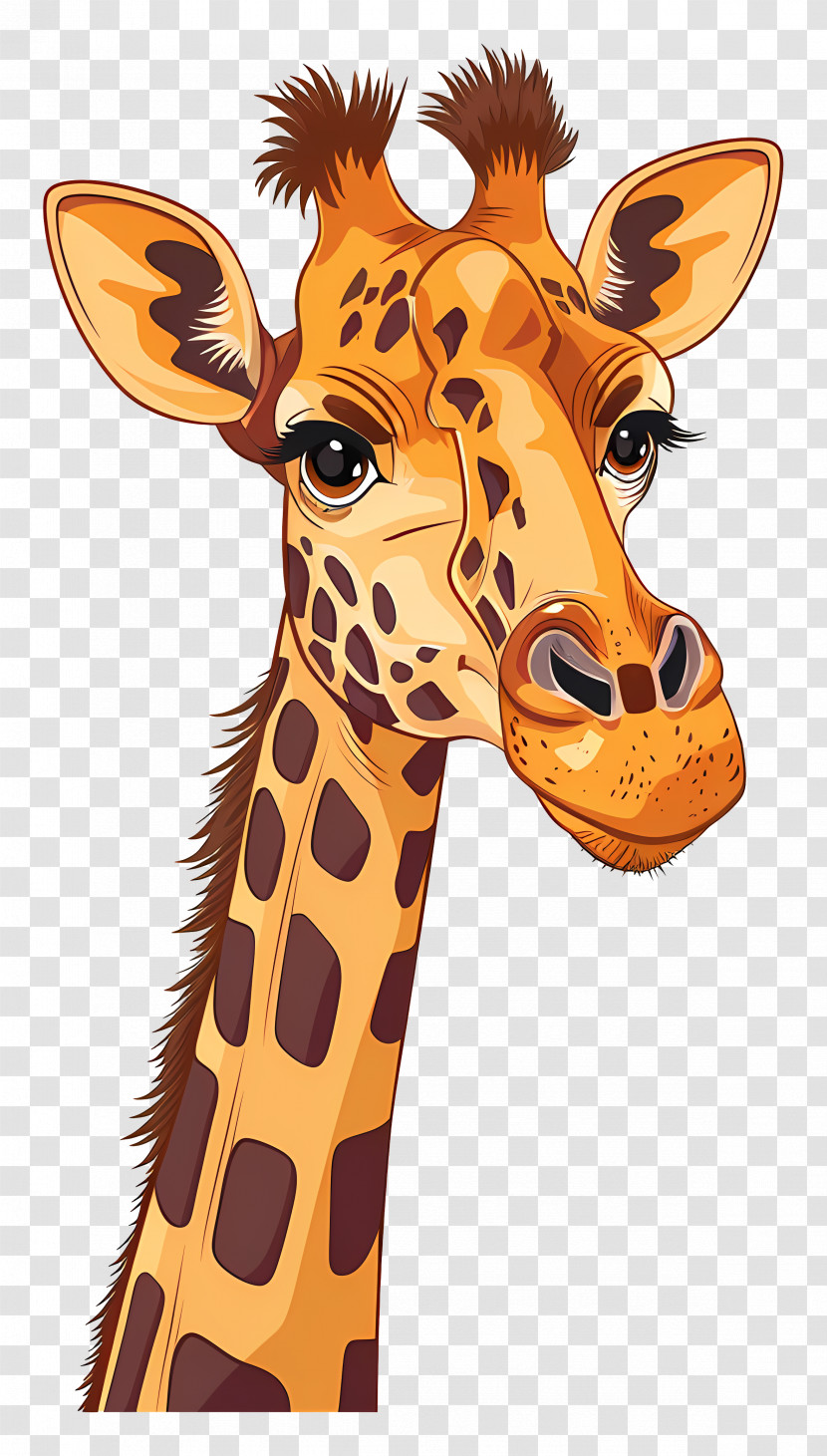 Giraffe - Giraffe Portrait With Warm Tones Transparent PNG
