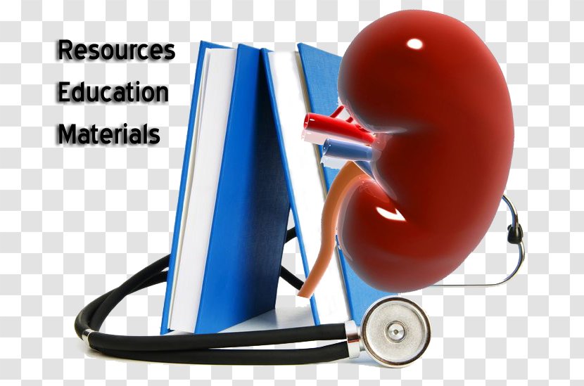 Obesity Medicine Medical Library Education - Learning - Kidney Transparent PNG