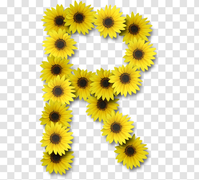 Common Sunflower Letter Alphabet - Seed - Flower Transparent PNG