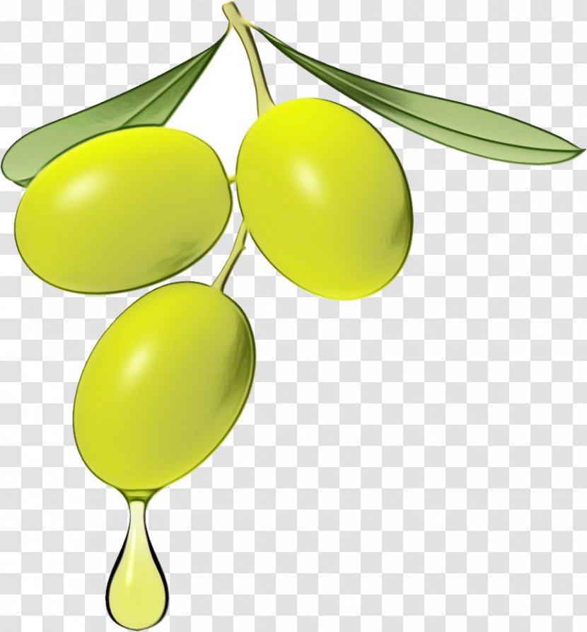 Yellow Olive Fruit Plant Leaf - Tree Transparent PNG