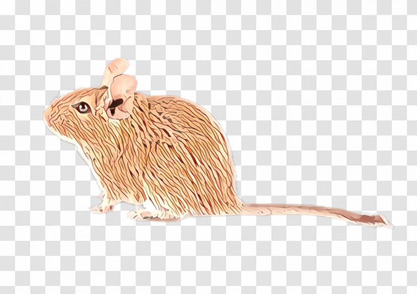 Mouse Muridae Rat Animal Figure Gerbil Transparent PNG