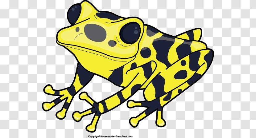 Yellow-banded Poison Dart Frog Green And Black Clip Art - Animal - Spring Cliparts Transparent PNG