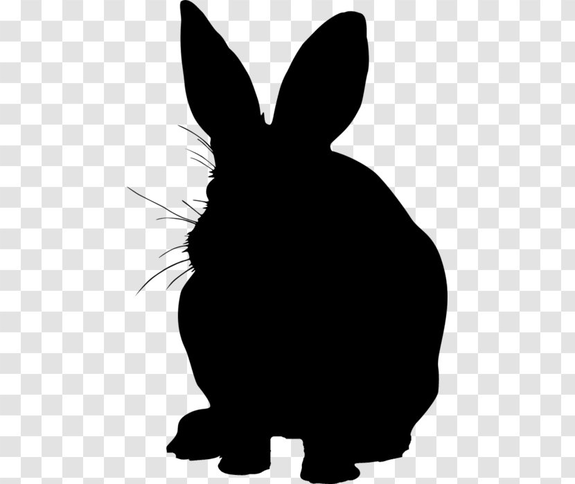 Domestic Rabbit Hare Dog Whiskers Mammal - Snout Transparent PNG
