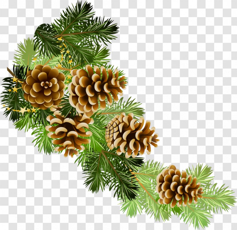 Pine Conifer Cone Fir Christmas Clip Art Transparent PNG