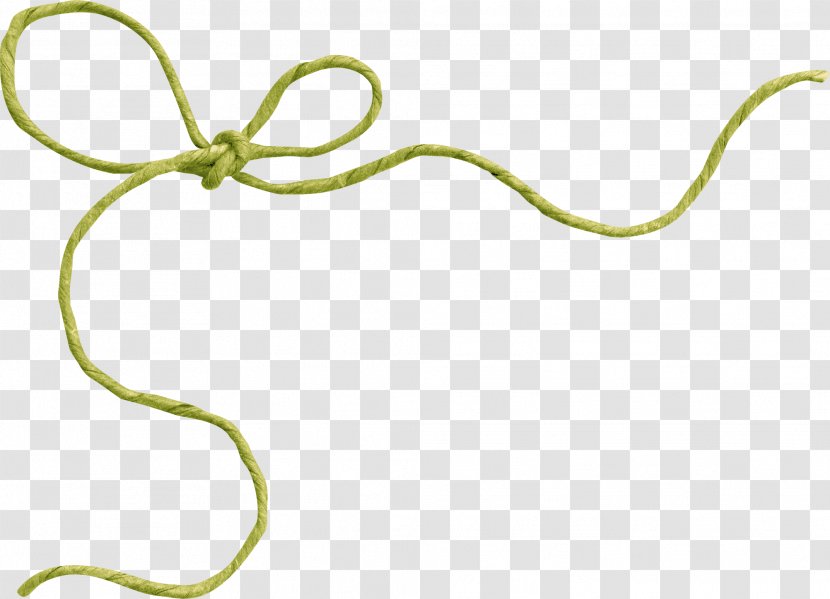 Green - Yellow - Bow Transparent PNG