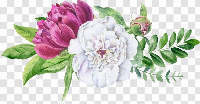 Bouquet Of Flowers Drawing - Common Peony - Chrysanths Transparent PNG