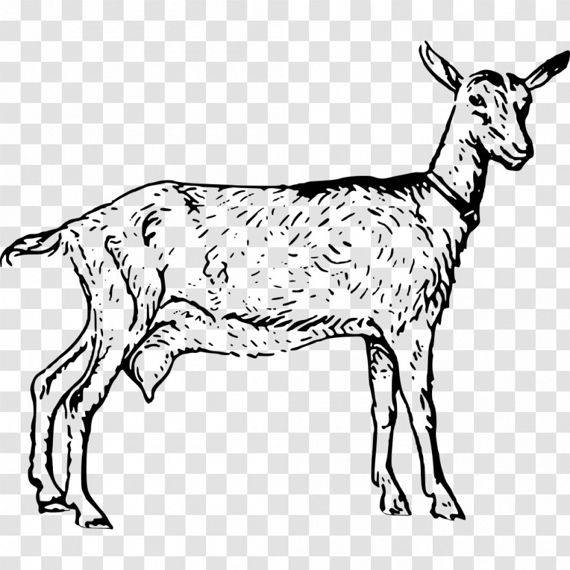 Boer Goat Anglo-Nubian Poitou Sheep Clip Art - Livestock Transparent PNG