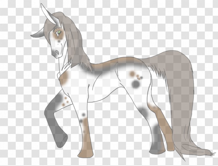 Unicorn - Tail - Mare Transparent PNG