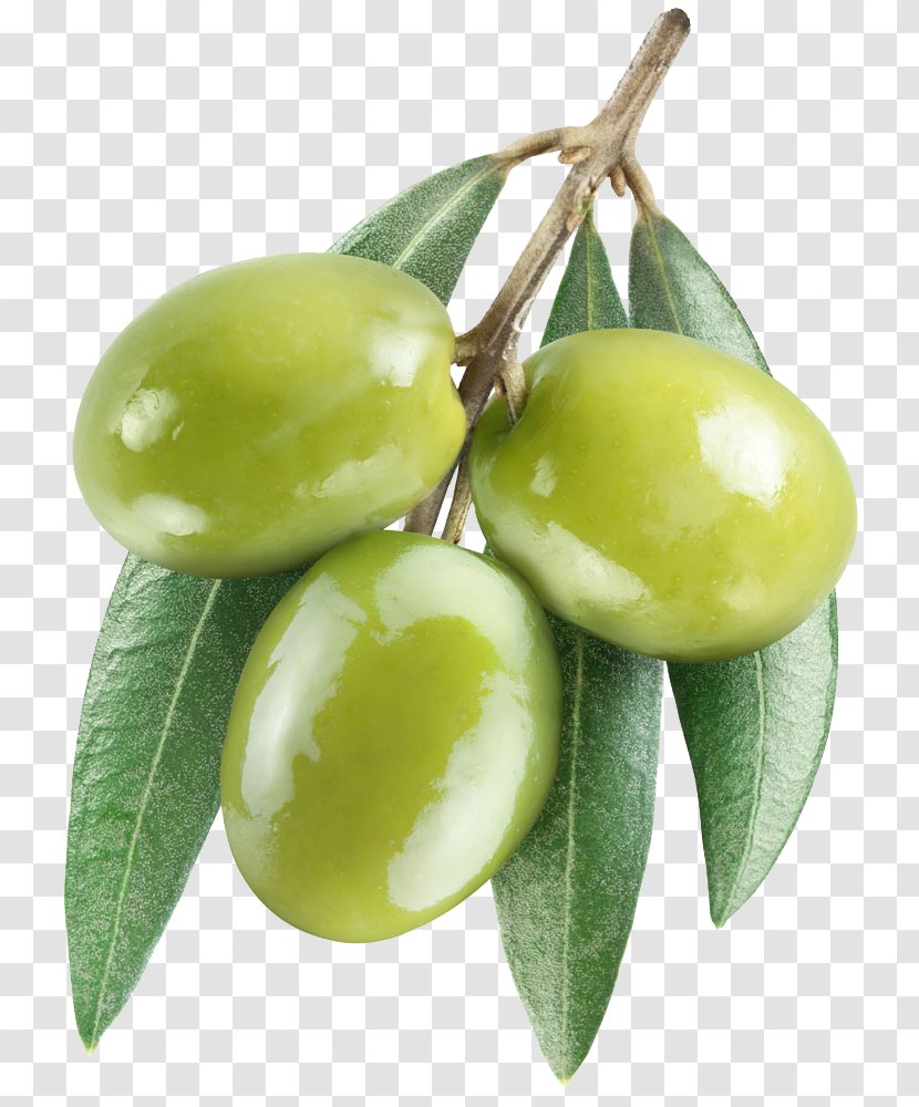 Olive Leaf Oil - Fruit Transparent PNG