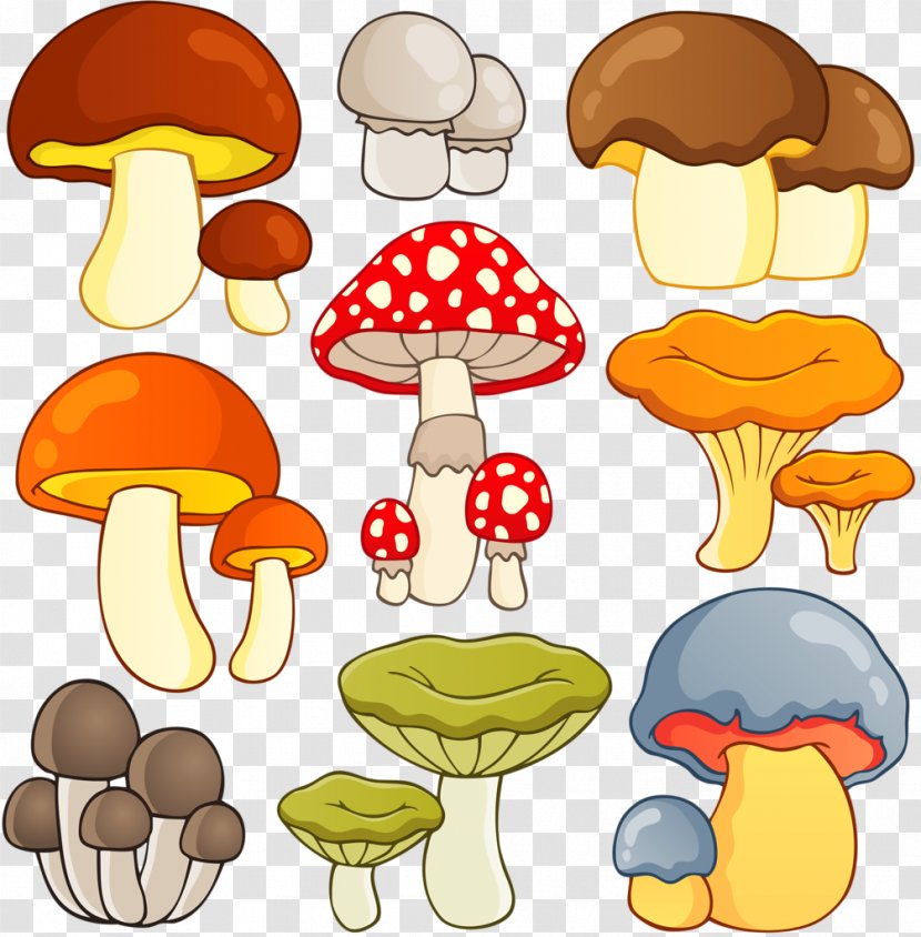 Vector Graphics Drawing Clip Art Mushroom Illustration - Edible Transparent PNG