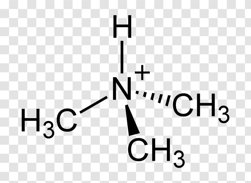 Acetone Trimethylamine Tetramethylammonium Hydroxide Quaternary Ammonium Cation - Black Transparent PNG