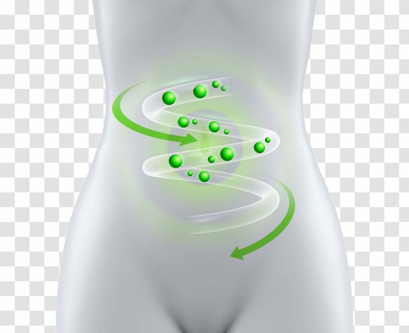 Green Tea Matcha Intestine Powder - Cartoon - Creative Women Intestinal Weight Loss Ads Transparent PNG