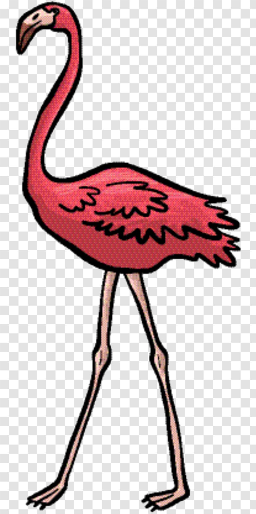 Pink Flamingo - Fauna - Water Bird Transparent PNG