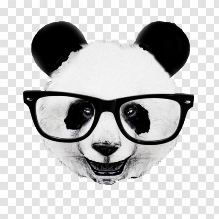 Giant Panda Artist Drawing Image - Sunglasses - Verona Transparent PNG