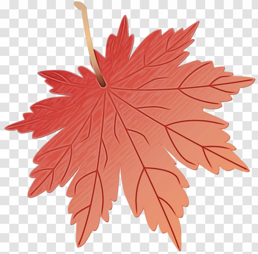 Leaf Flower Maple Leaf / M Petal Tree Transparent PNG