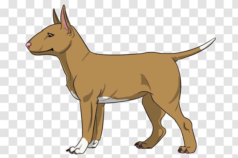 Dog Breed Non-sporting Group Fauna Snout - Non Sporting - Red Bull Terrier Transparent PNG
