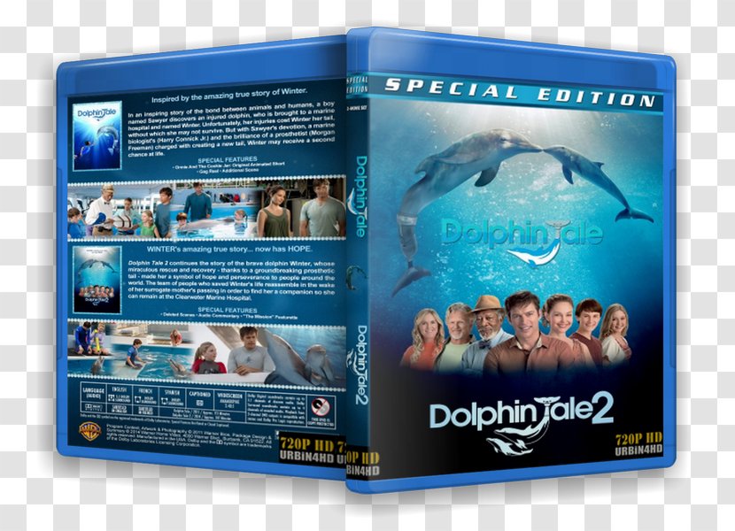 Film Poster Marine Mammal Biology Billboard - Dolphin Tale 2 Transparent PNG