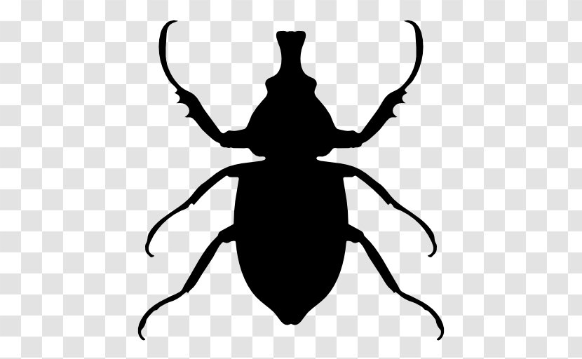 Insect Animal Euclidean Vector Icon - Scalable Graphics - Beetle Silhouette Transparent PNG