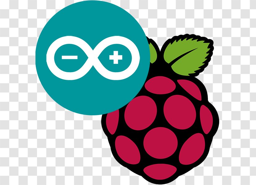 Programming The Raspberry Pi: Getting Started With Python MQTT Raspbian Arduino - Leaf - Creative Writing Ideas Pinterest Transparent PNG