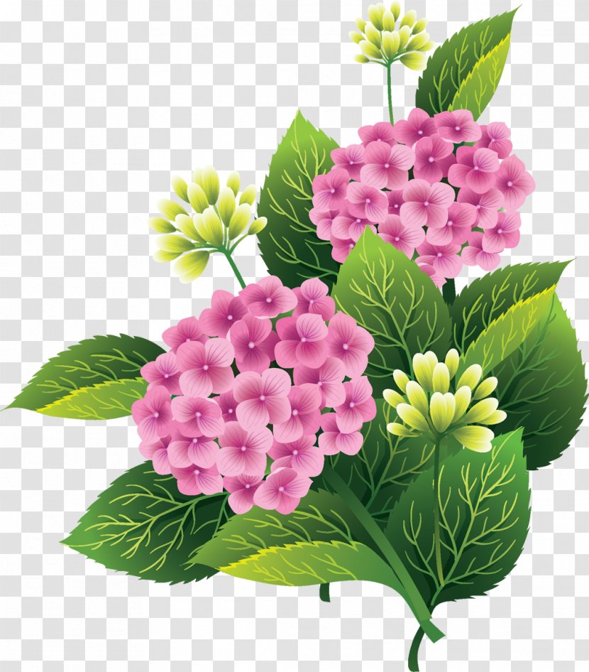 Pink Flowers Silhouette Clip Art - Hydrangeaceae Transparent PNG