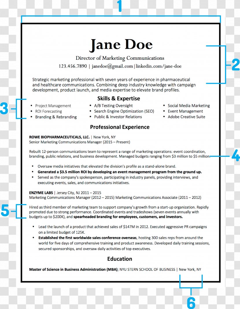 Résumé Template Cover Letter Curriculum Vitae - Document - Word Resume Transparent PNG