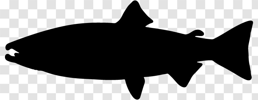 Seafood Angling Fishing Shark - Food - Salmon Reagan Appeared Transparent PNG
