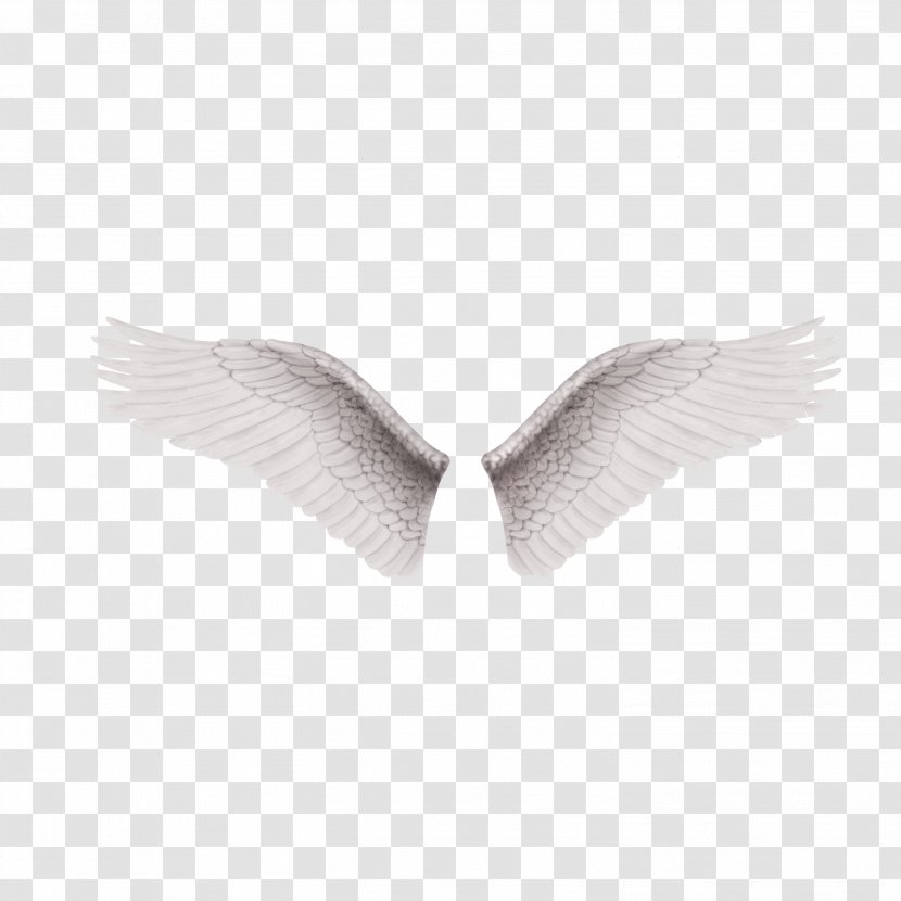 Black And White Wing Clip Art - Google Images - Vector Wings Transparent PNG