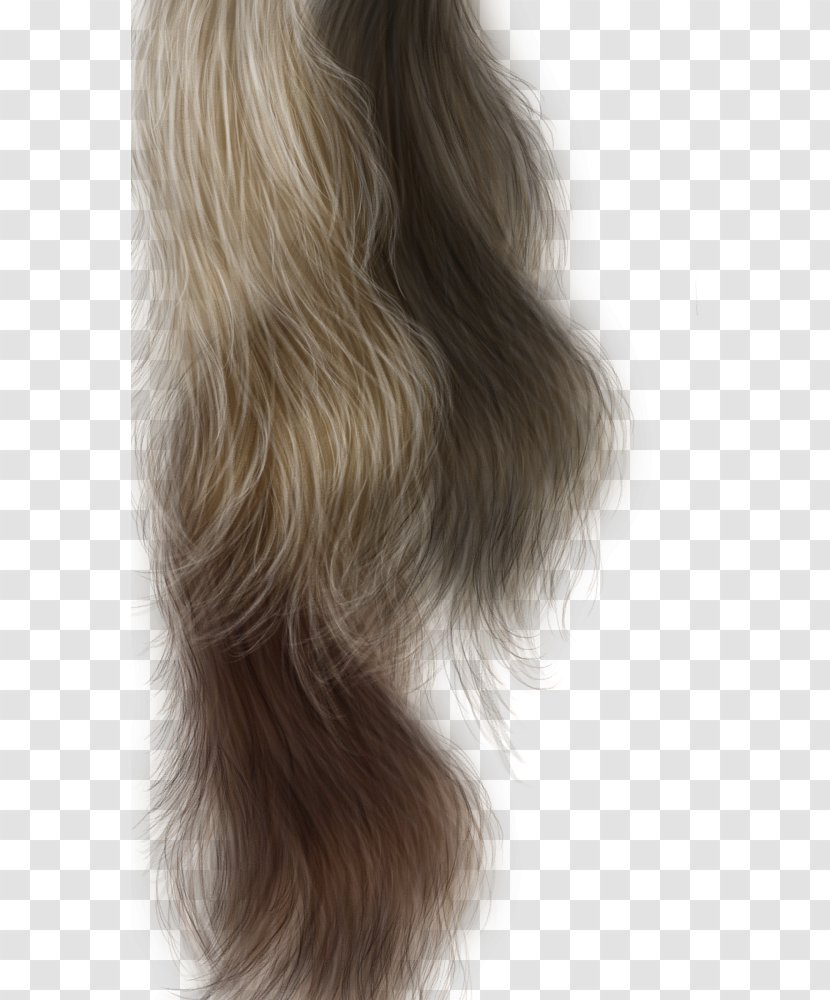 Long Hair Capelli Hairstyle - Short - Lady Transparent PNG