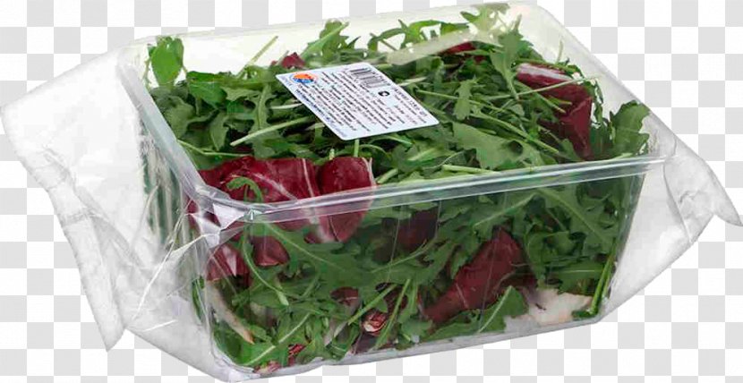 Salad Herb Price Artikel Arugula - Vegetable Transparent PNG