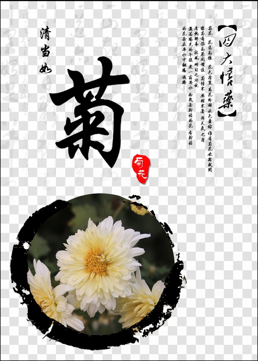 Jiaozuo Chrysanthemum Xd7grandiflorum Tea - Resource Transparent PNG